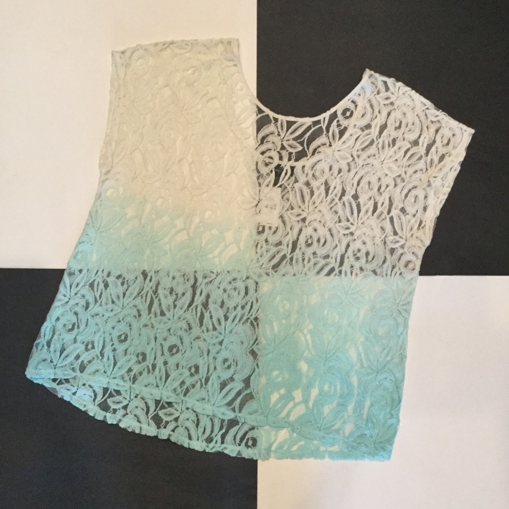 Lane Bryant Sheer Lace Pullover